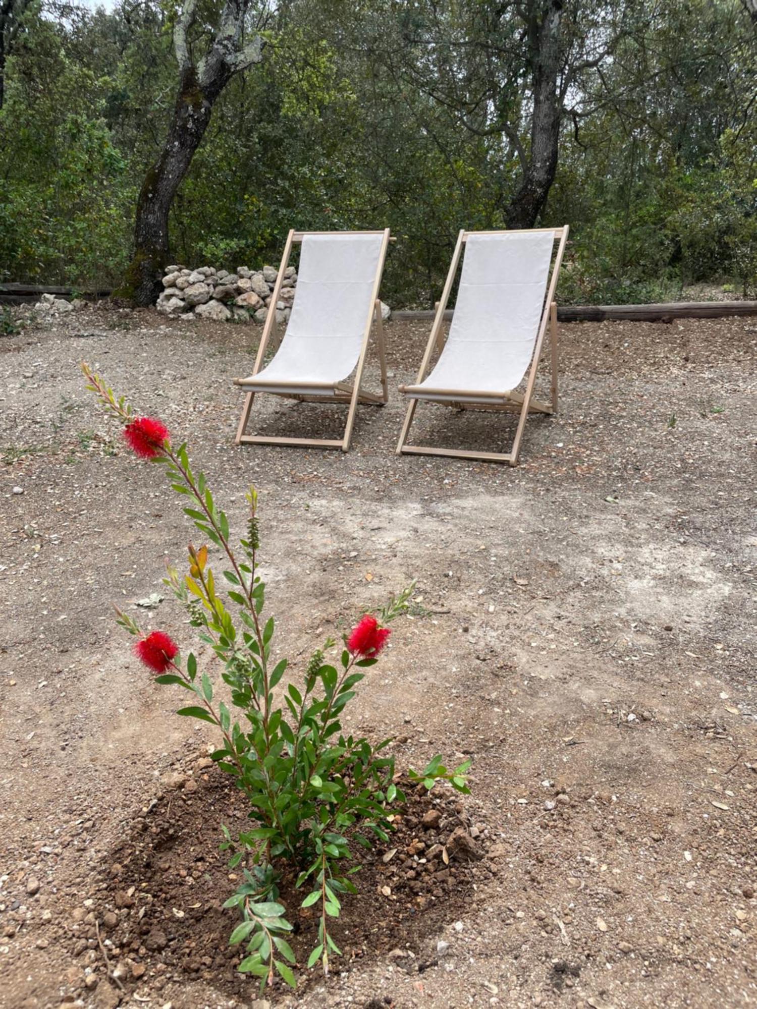 La Parenthese Du Var - Chambre D'Hotes Petits Dejeuners Inclus Et Terrasse Ombragee Saint-Antonin-du-Var Exterior foto